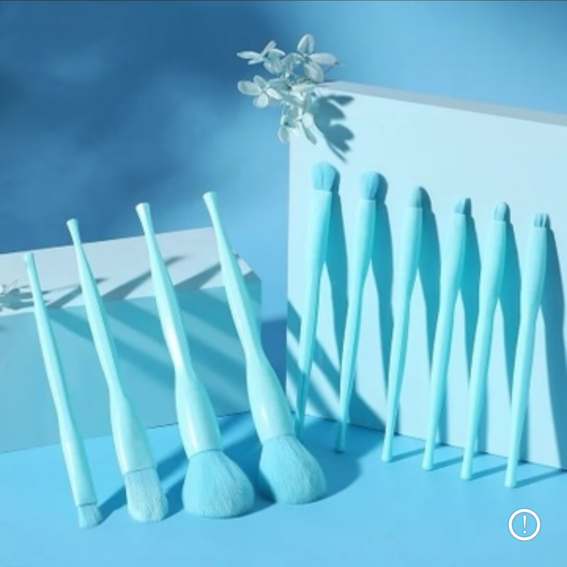 10 Piece Makeup Brush Set